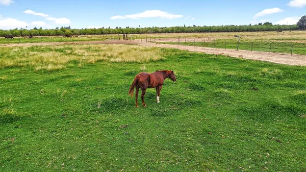 $2,195,000 | 770 Merriam Road, Hickman, CA 95323