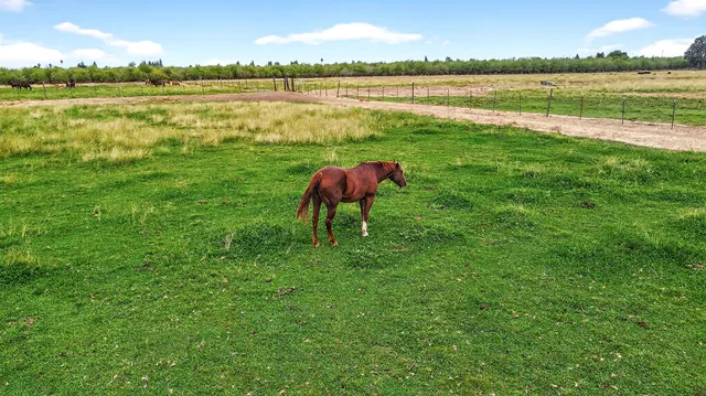 $2,195,000 | 770 Merriam Road, Hickman, CA 95323