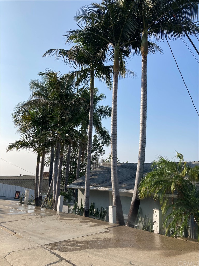 a palm tree sitting in front of a house with a garden
