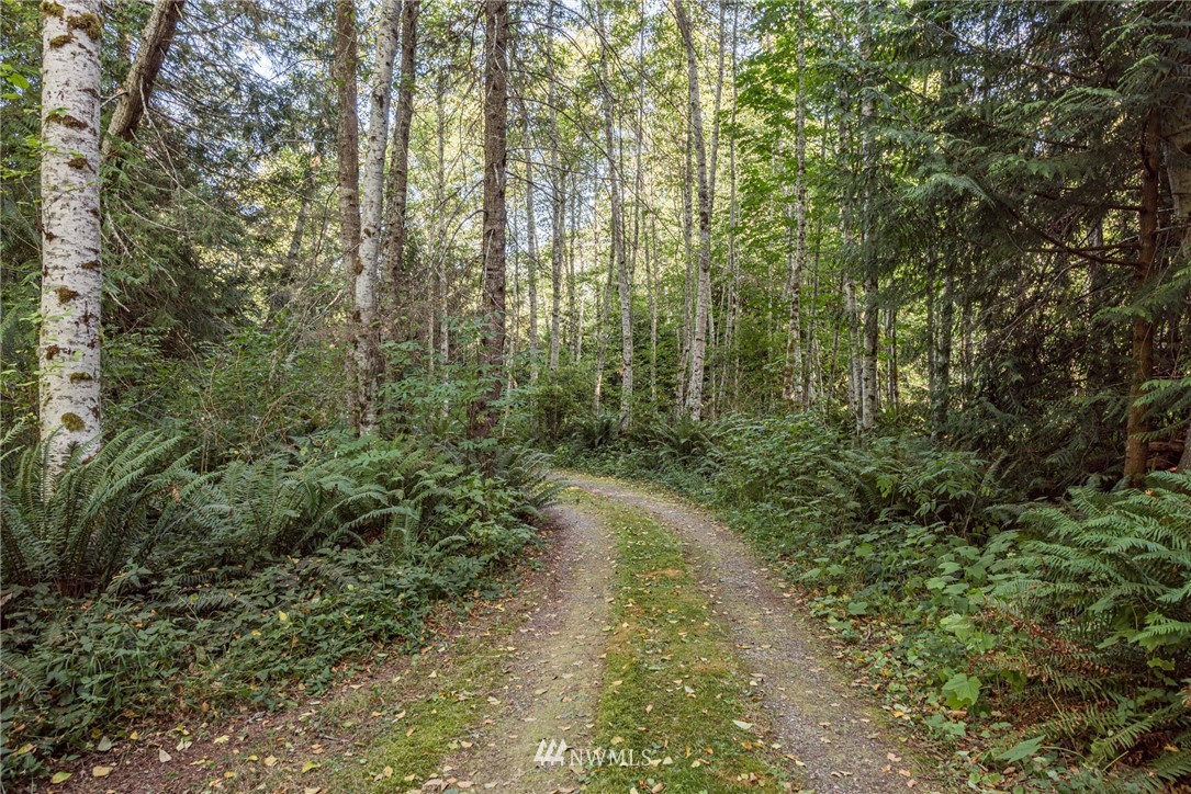 134 Deer Tracks Road Port Angeles, WA 98363 - Photo 2 of 29 Gallery Image 2