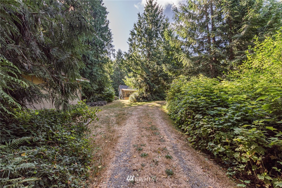 134 Deer Tracks Road Port Angeles, WA 98363 - Photo 3 of 29 Gallery Image 3