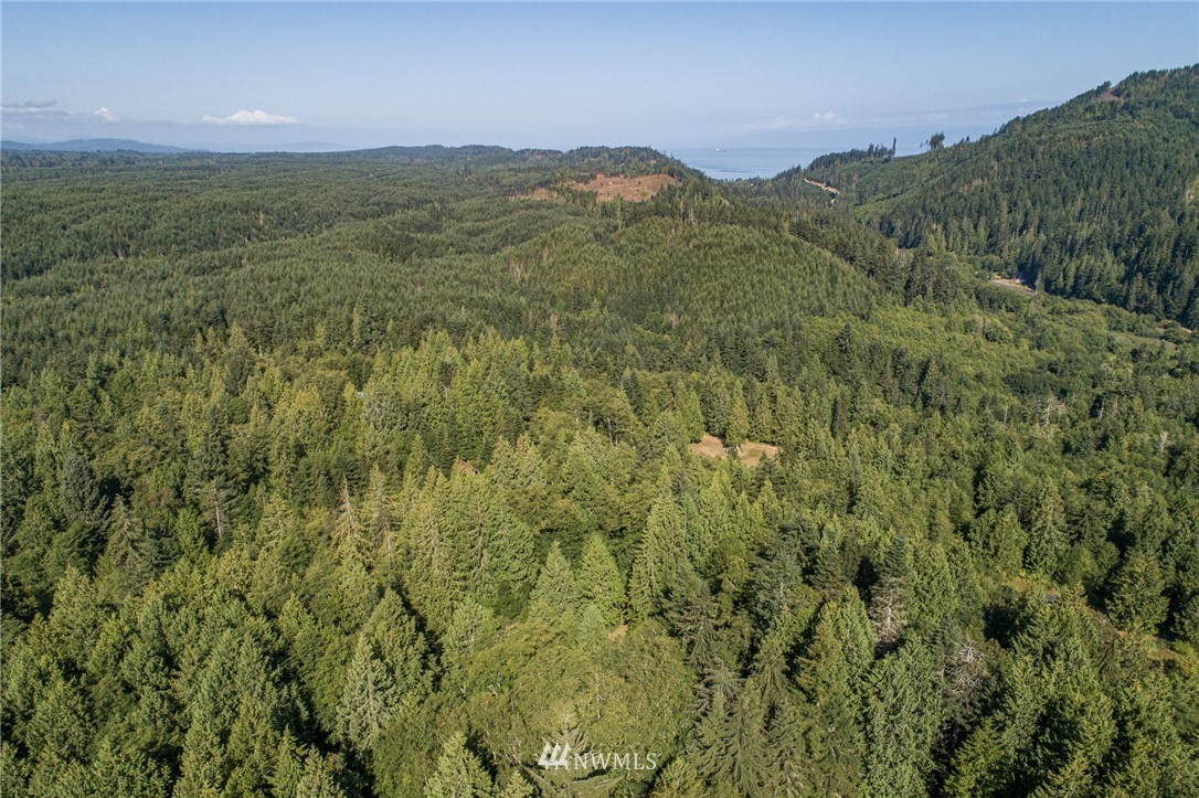 134 Deer Tracks Road Port Angeles, WA 98363 - Photo 27 of 29 Gallery Image 27