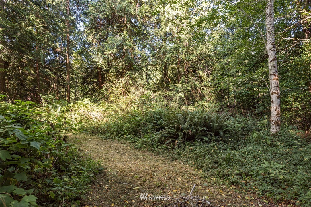 134 Deer Tracks Road Port Angeles, WA 98363 - Photo 4 of 29 Gallery Image 4