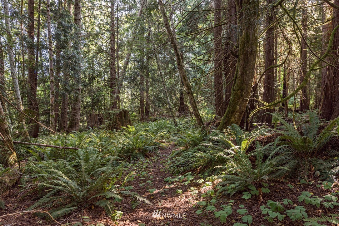 134 Deer Tracks Road Port Angeles, WA 98363 - Photo 5 of 29 Gallery Image 5