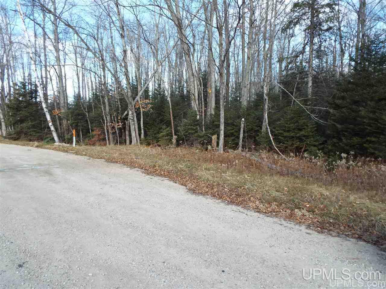 Tbd Us2 Gulliver, MI 49840 - Photo 3 of 7