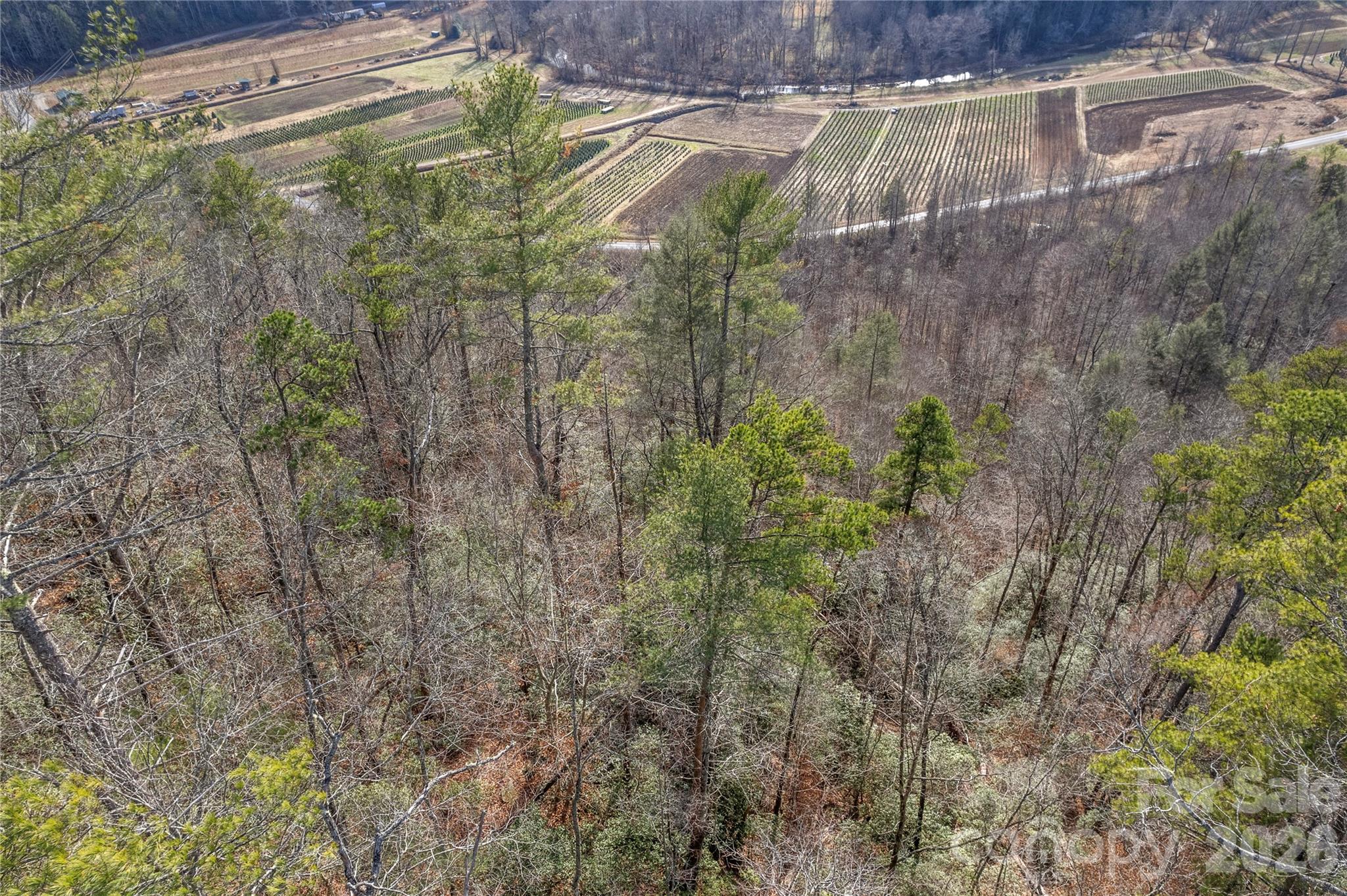 Tbd Tbd Collettsville Road, Unit 16 Lenoir, NC 28645 - Photo 22 of 32