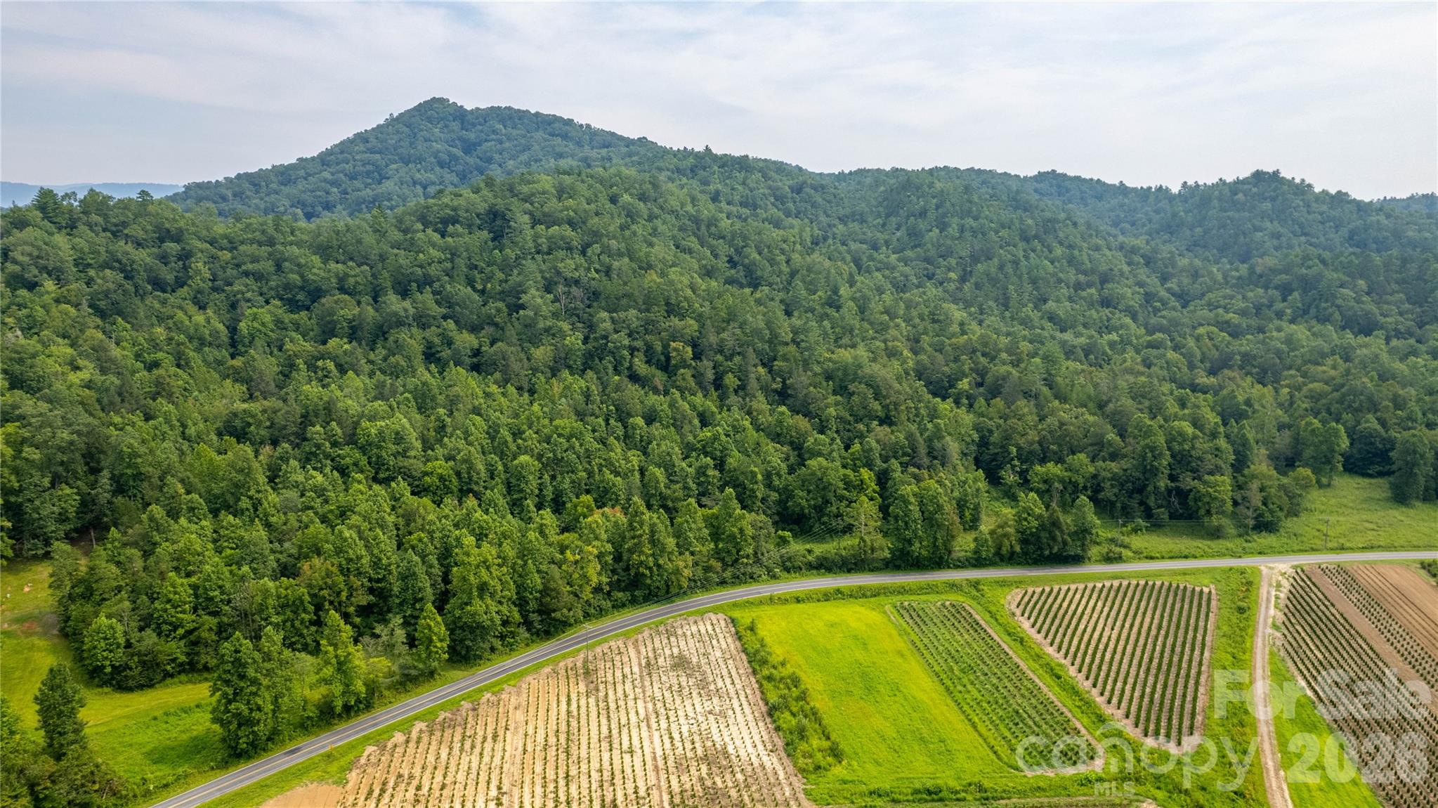 Tbd Tbd Collettsville Road, Unit 16 Lenoir, NC 28645 - Photo 5 of 32