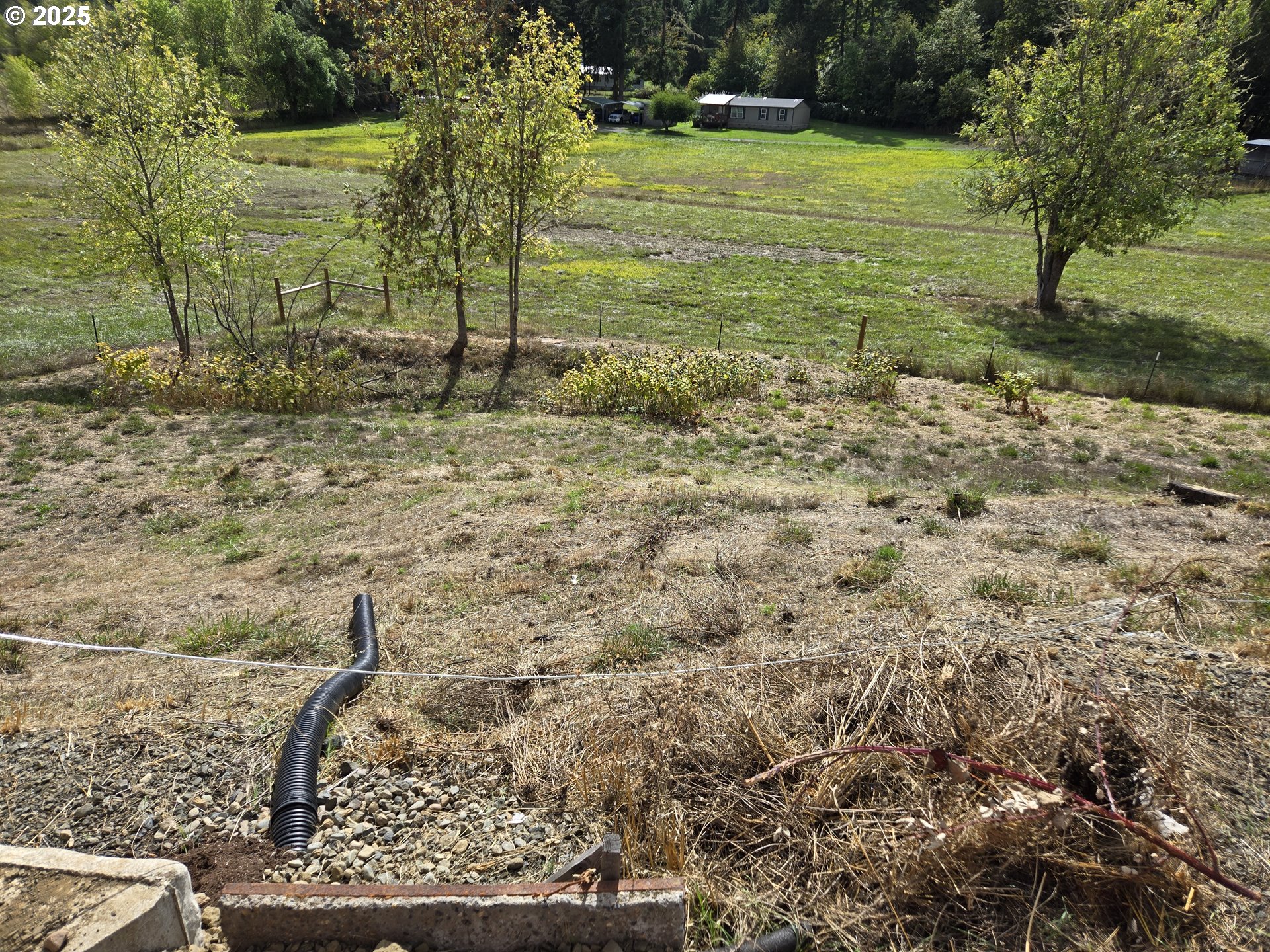 740 Ireland Road Winston, OR 97496 - Photo 13 of 18 a backyard of a house with lots of green space