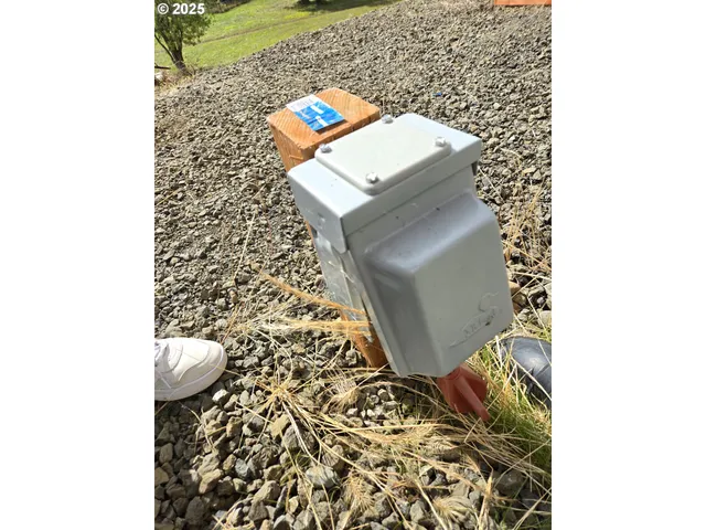 a view of a yard with an trees
