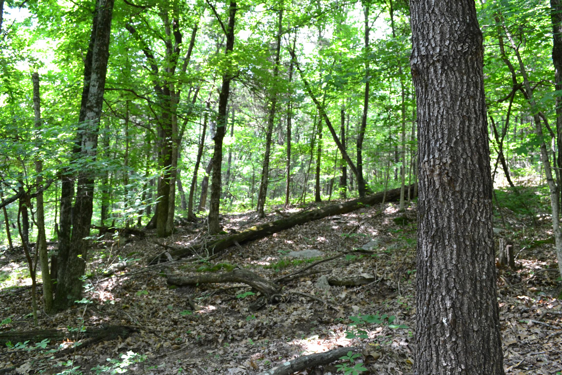 95 Miller Valley Road Elkton, KY 42220 - Photo 3 of 29 Gallery Image 3