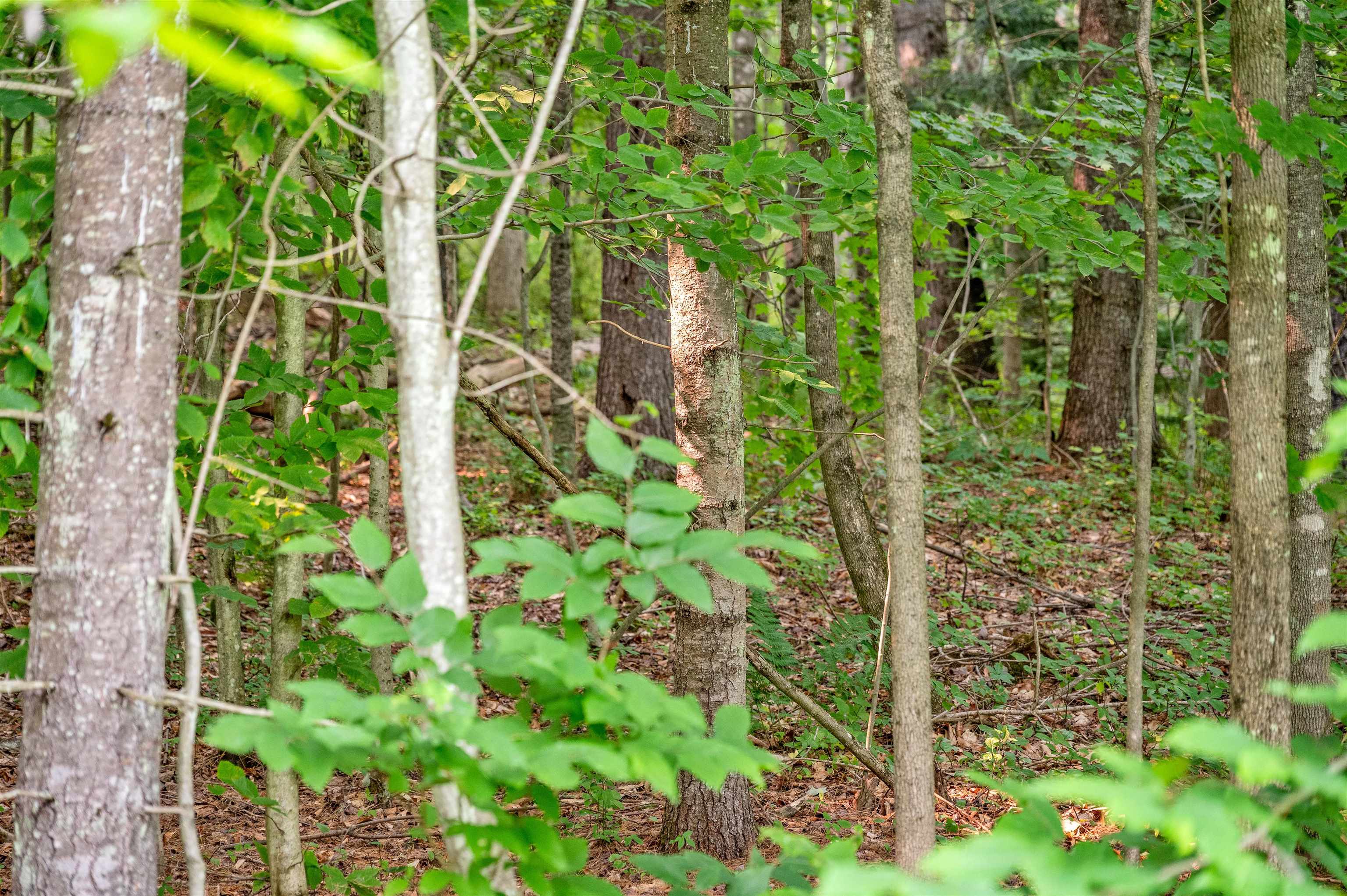 285 Chandler Road Northfield, VT 05663 - Photo 14 of 31