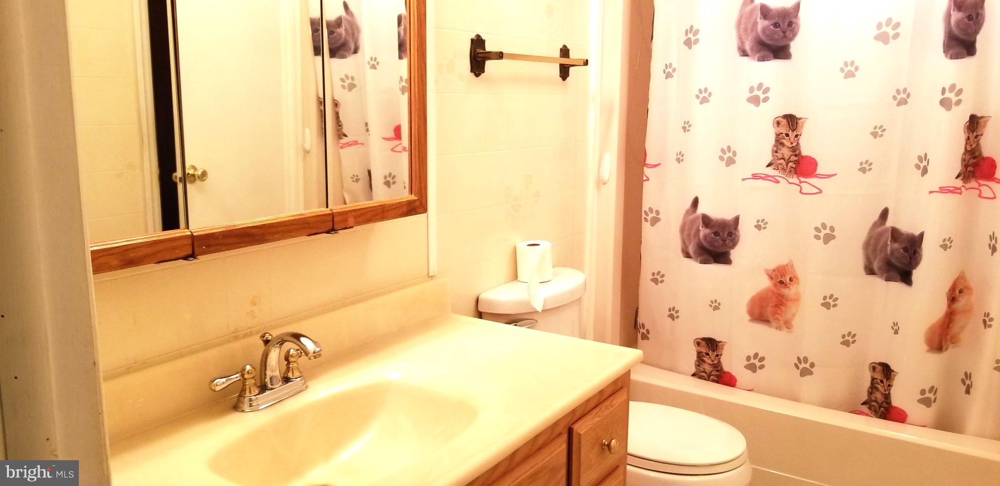 60 Skyline Drive Sicklerville, NJ 08081 - Photo 26 of 51