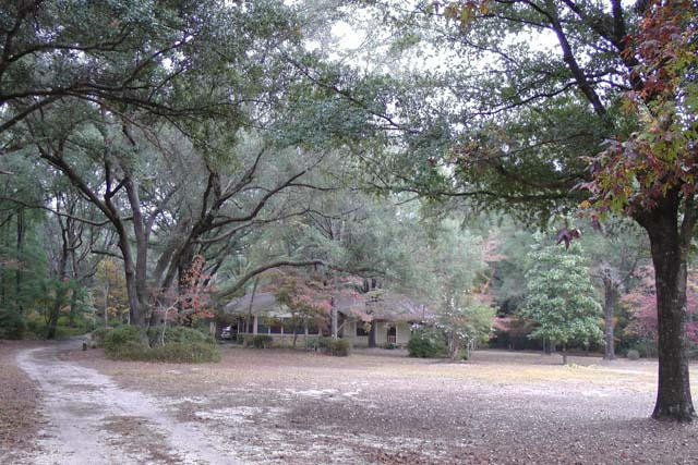 3845 Poverty Creek Road Crestview, FL 32539 - Photo 21 of 32 a front view of a house with a yard and large tree
