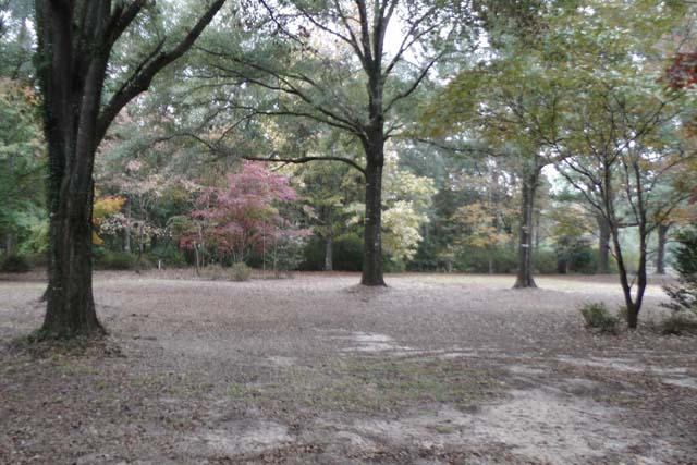 3845 Poverty Creek Road Crestview, FL 32539 - Photo 22 of 32 a view of outdoor space with trees