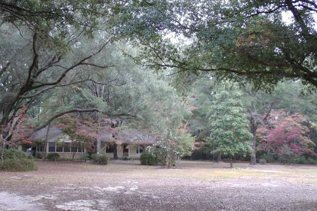 3845 Poverty Creek Road Crestview, FL 32539 - Photo 24 of 32 a view of a town with large trees