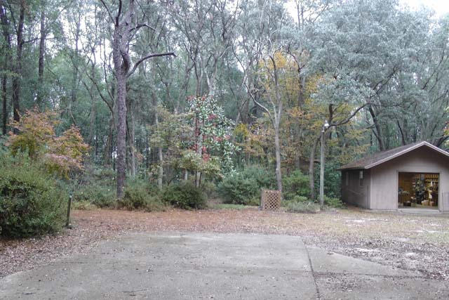 3845 Poverty Creek Road Crestview, FL 32539 - Photo 30 of 32 a view of a house with a yard and tree s