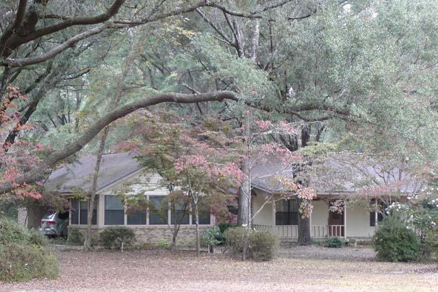3845 Poverty Creek Road Crestview, FL 32539 - Photo 6 of 32 front view of a house with a tree