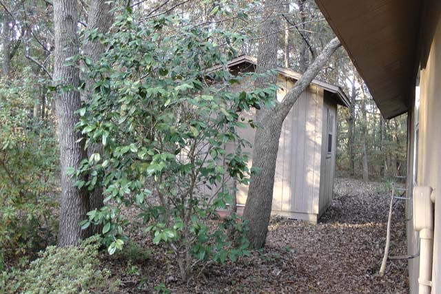 3845 Poverty Creek Road Crestview, FL 32539 - Photo 9 of 32 a backyard of a house with lots of green space