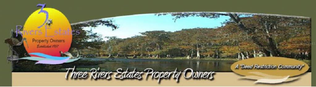 4135 290th Terrace Branford, FL 32008 - Photo 29 of 58