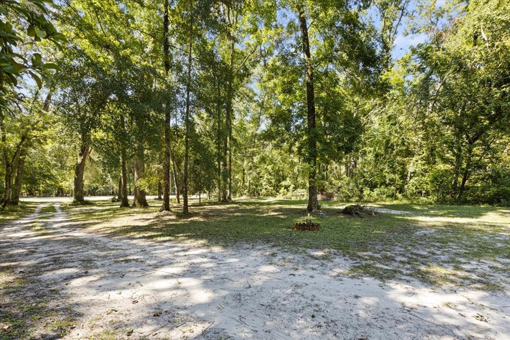 4135 290th Terrace Branford, FL 32008 - Photo 48 of 58