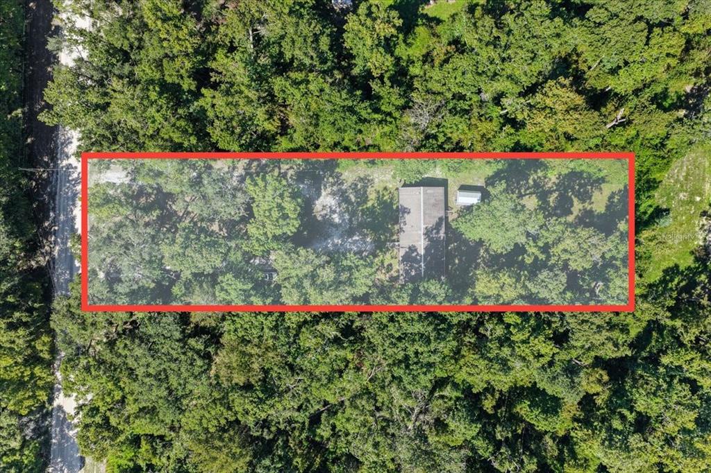 4135 290th Terrace Branford, FL 32008 - Photo 49 of 58