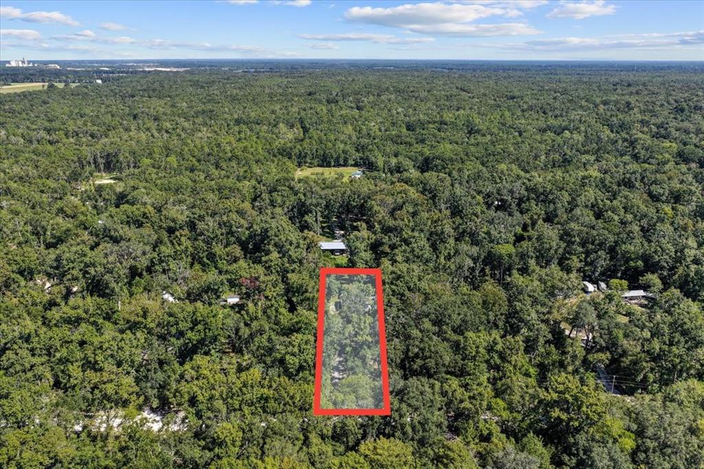 4135 290th Terrace Branford, FL 32008 - Photo 50 of 58