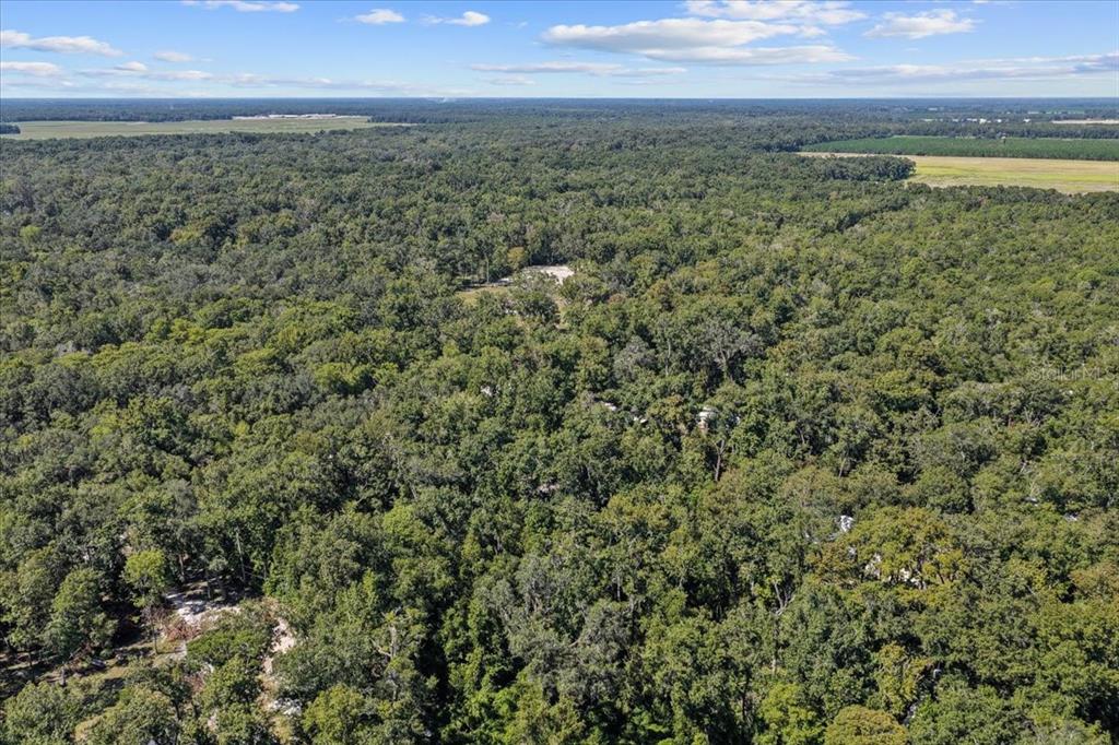 4135 290th Terrace Branford, FL 32008 - Photo 51 of 58