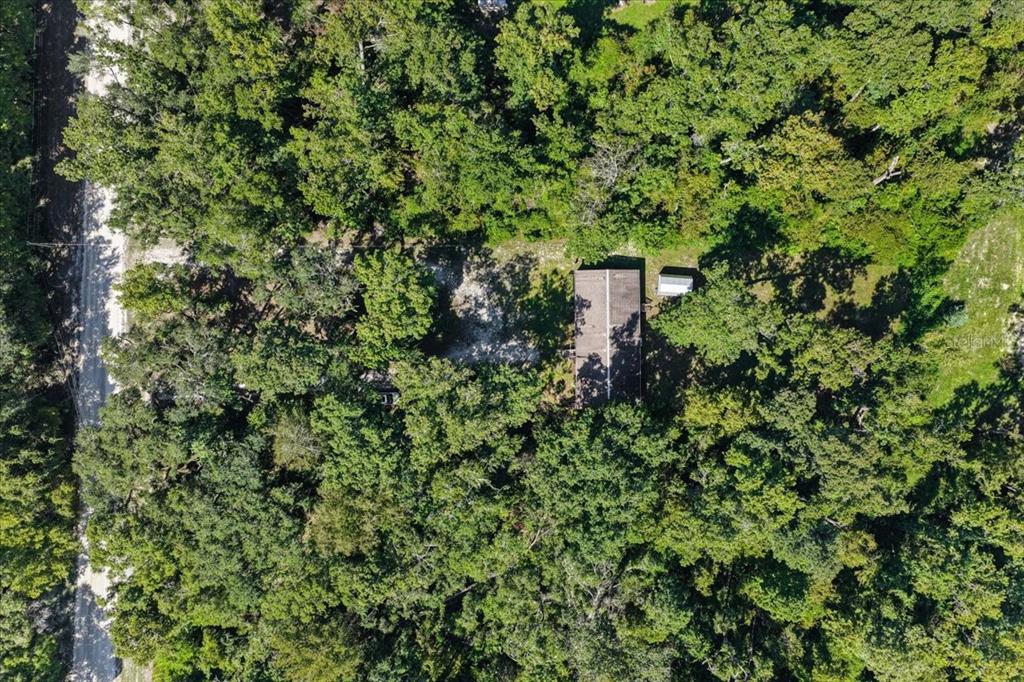 4135 290th Terrace Branford, FL 32008 - Photo 52 of 58