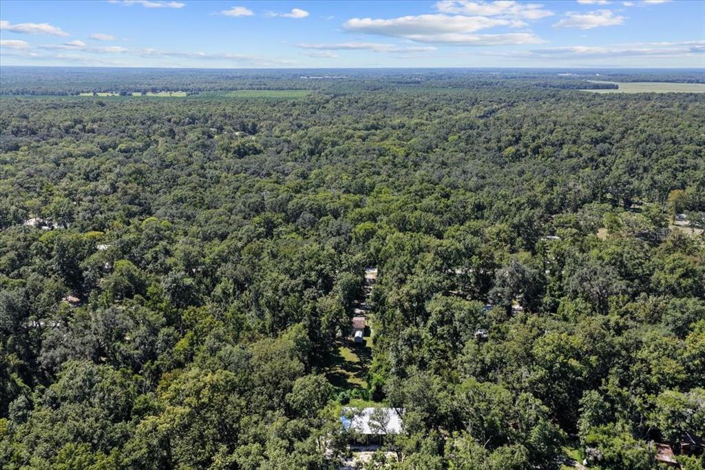 4135 290th Terrace Branford, FL 32008 - Photo 56 of 58