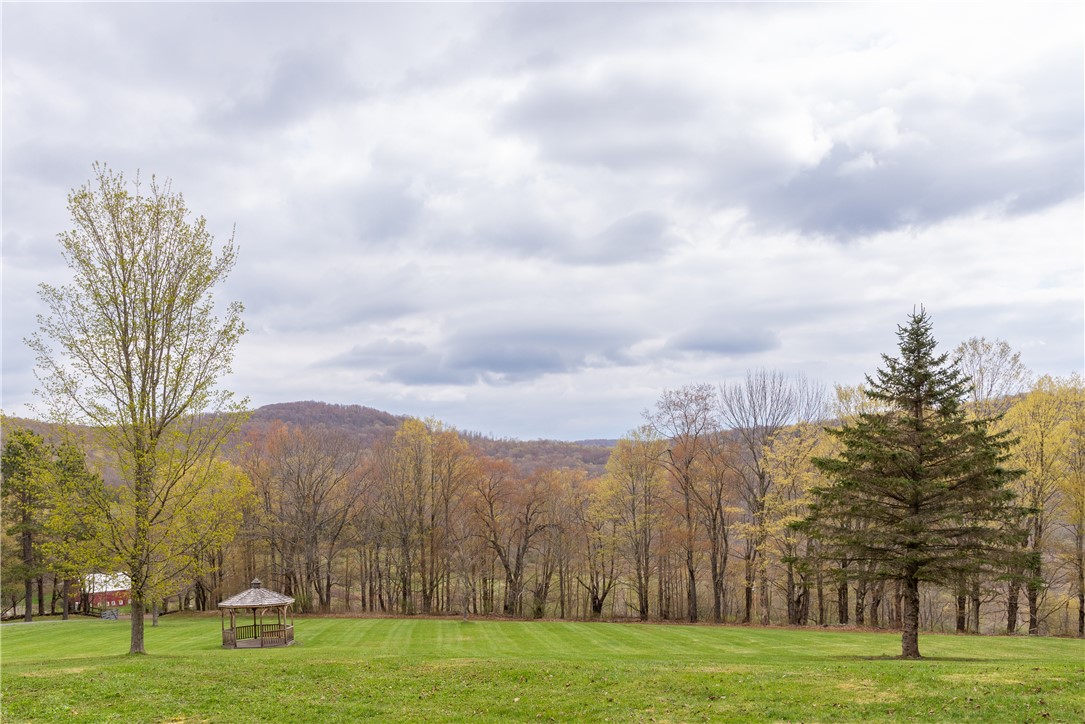 2751 Jim Lane Road Bovina Center, NY 13740 - Photo 16 of 48