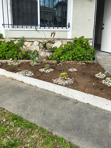 a view of a back yard of the house