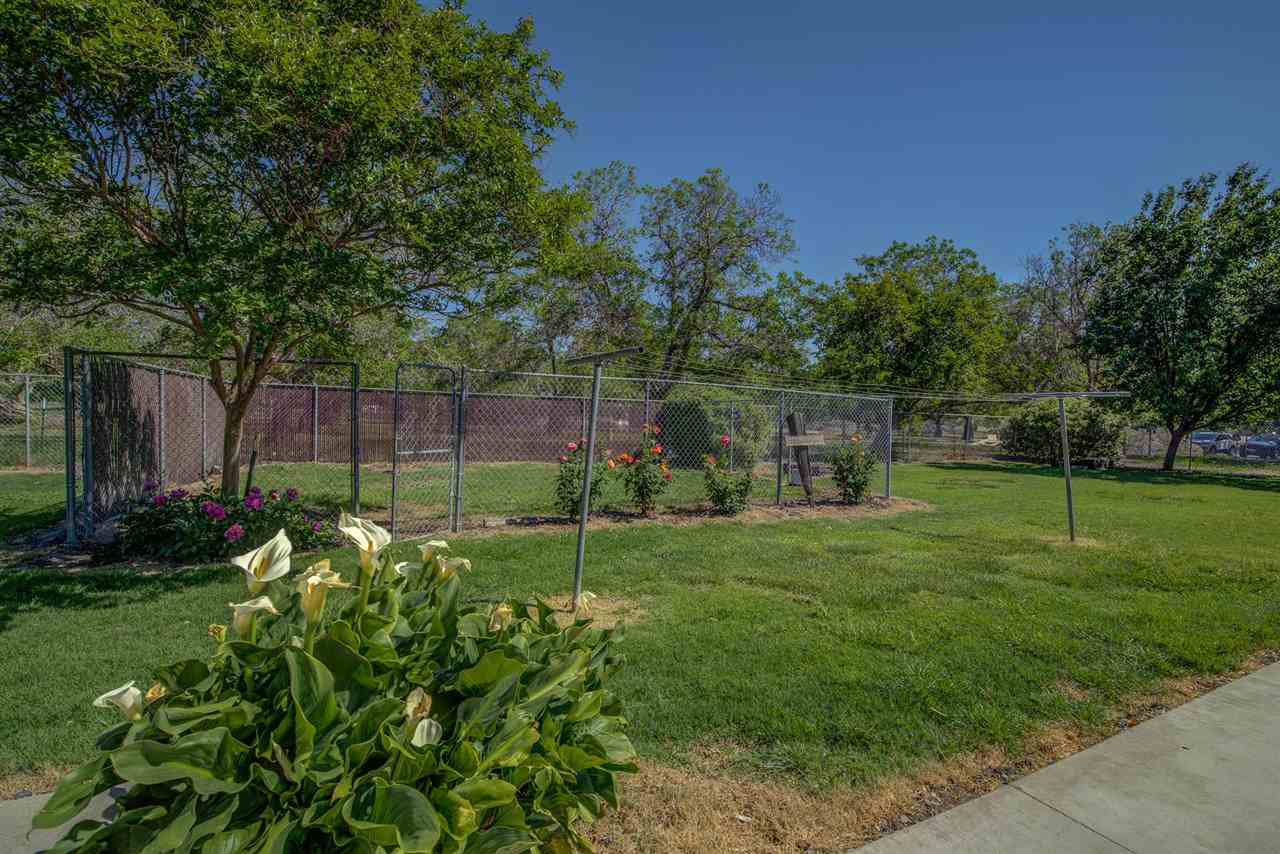 6110 Napa Road Corning, CA 96021 - Photo 44 of 62