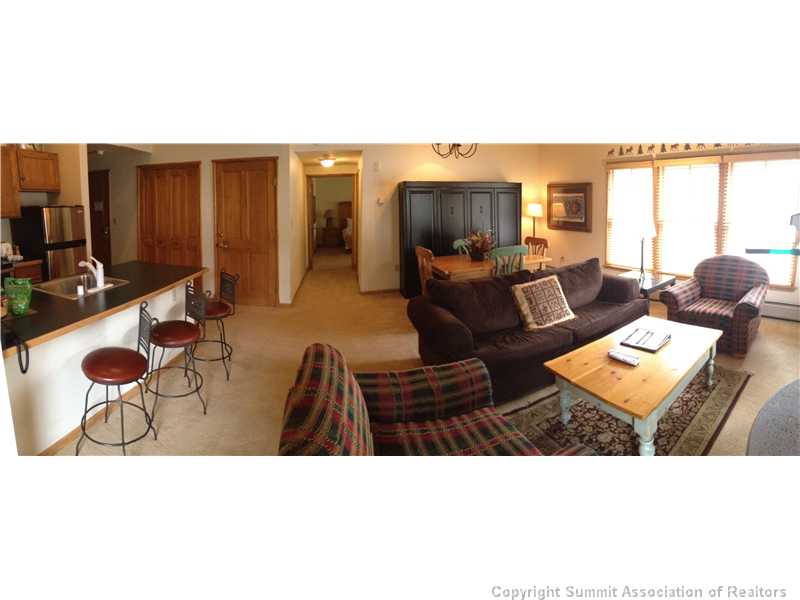 Living Room. Comfortable living room complete with a queen sleeper sofa and murphy bed