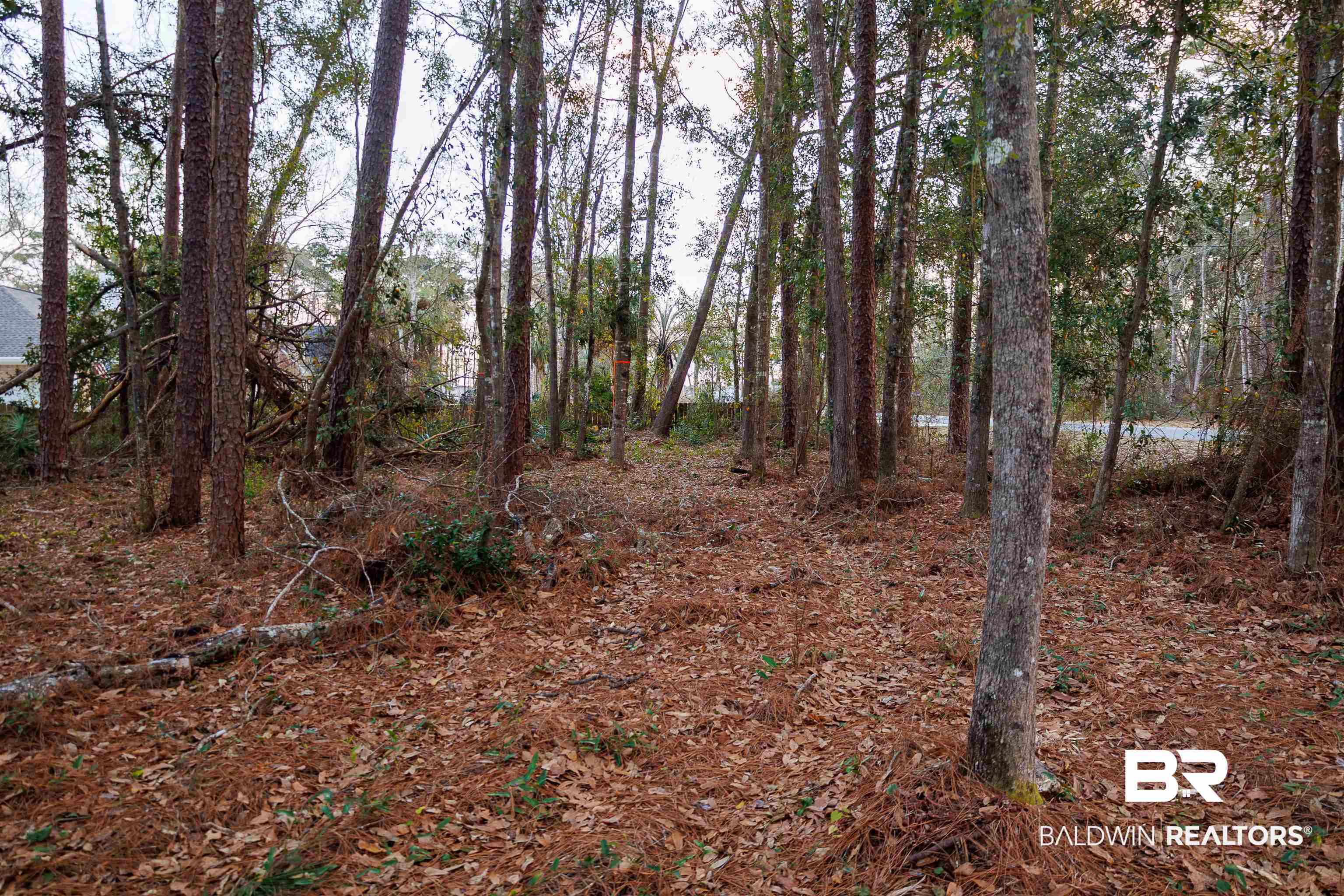 22622 Pineview Lane Foley, AL 36535 - Photo 8 of 11