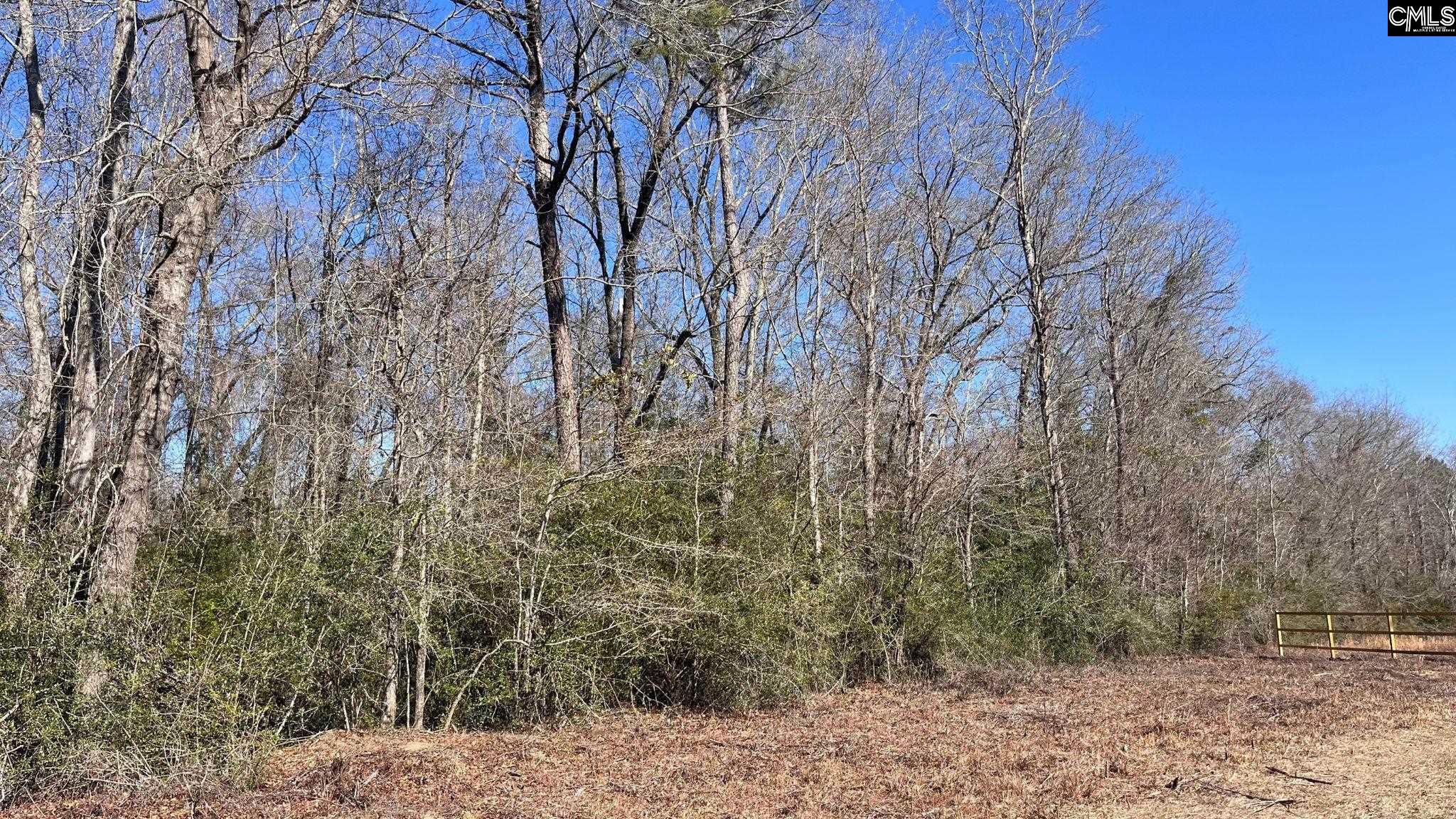 Tbd Veterans Road Salley, SC 29137 - Photo 14 of 17