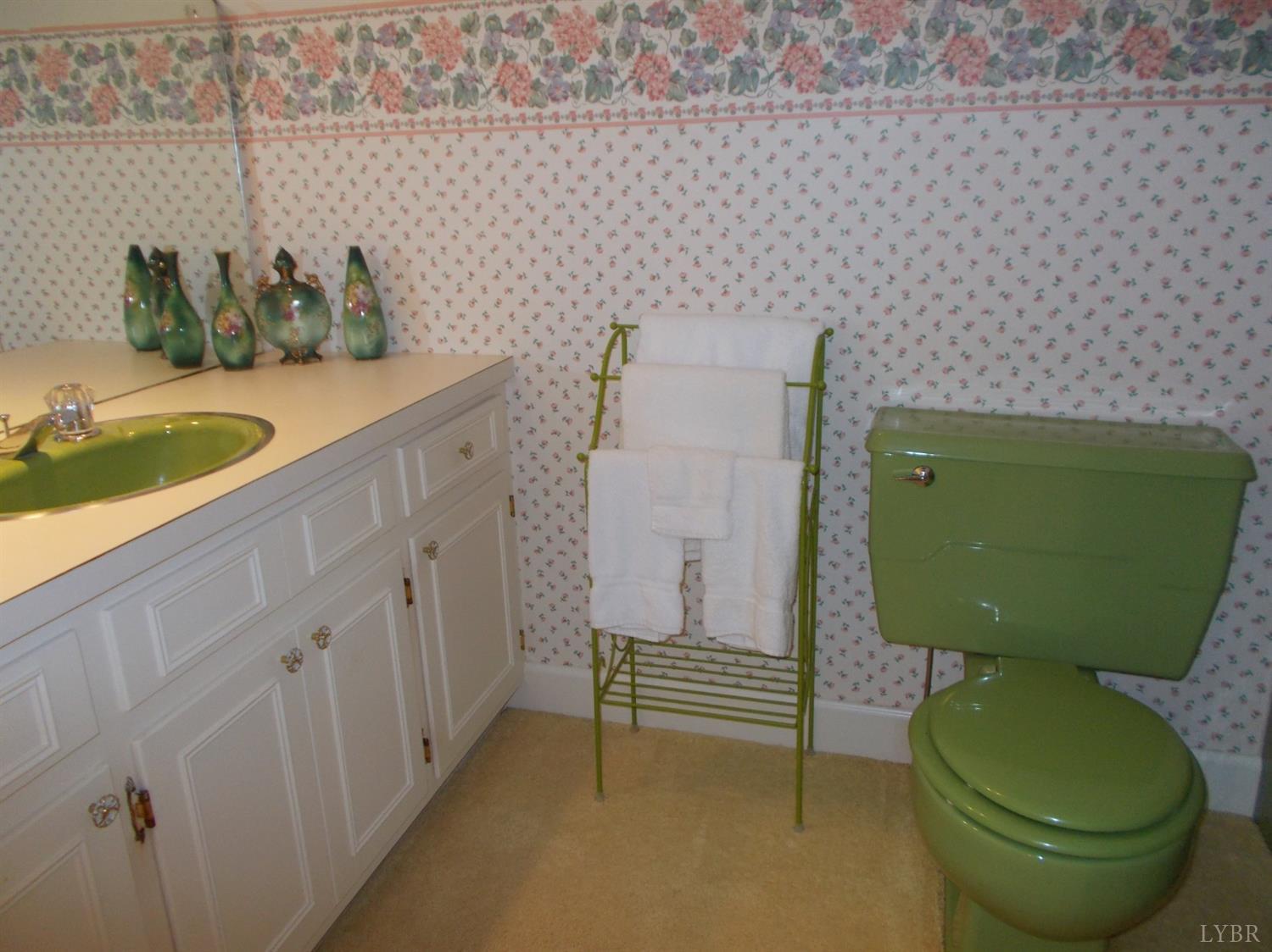 110 River Road Altavista, VA 24517 - Photo 45 of 51 a bathroom with a toilet and a sink