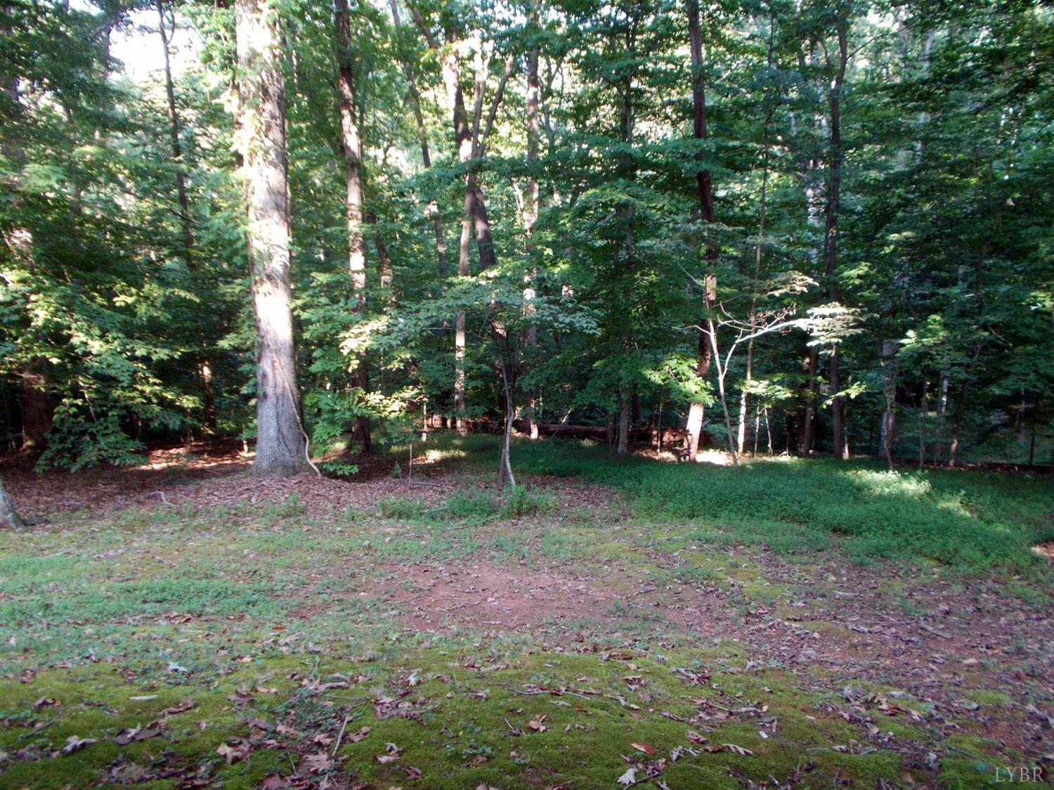 110 River Road Altavista, VA 24517 - Photo 50 of 51 a view of a tree in front of a house