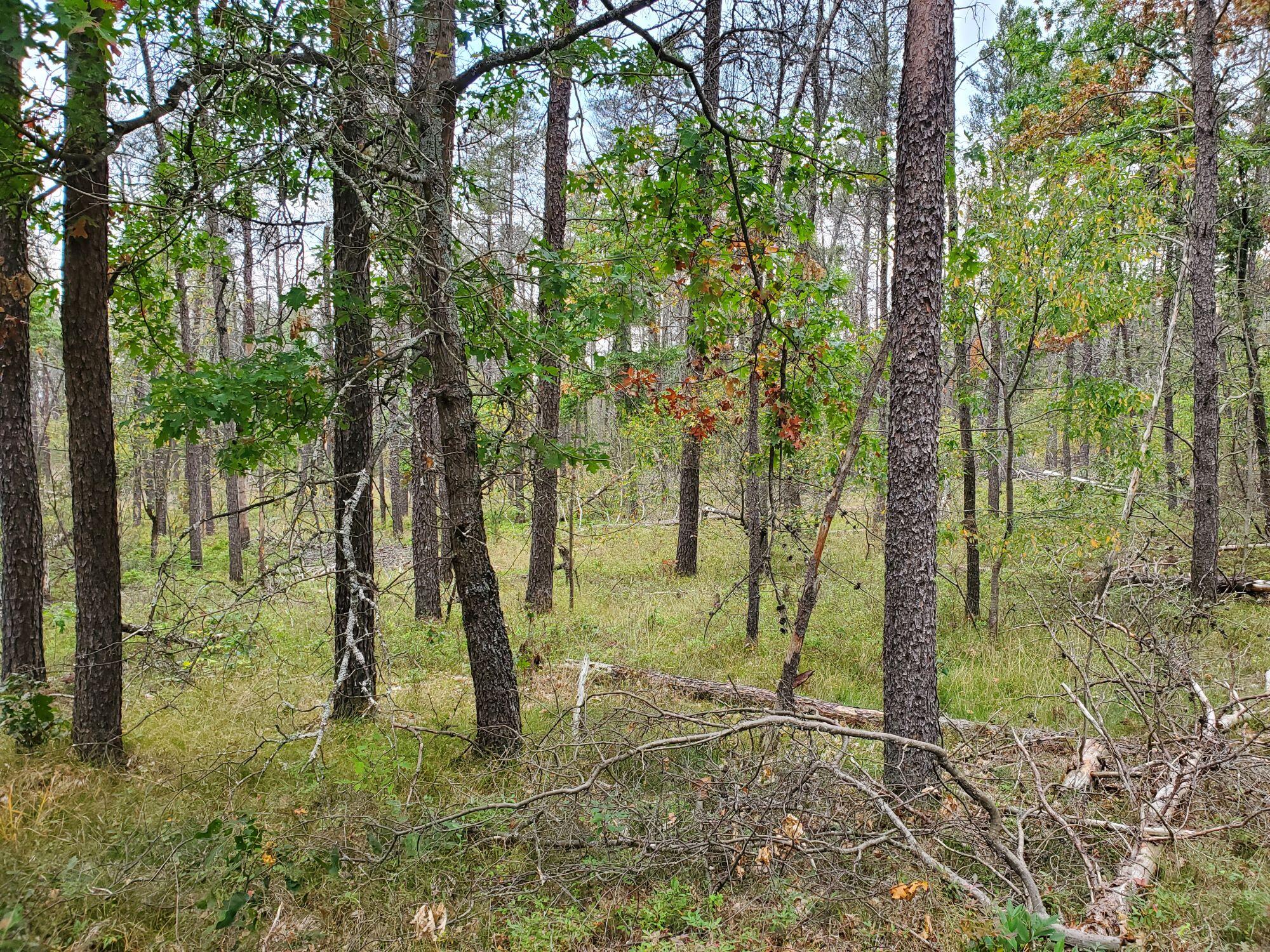 277 West 9 Mile Road Irons, MI 49644 - Photo 1 of 6 property