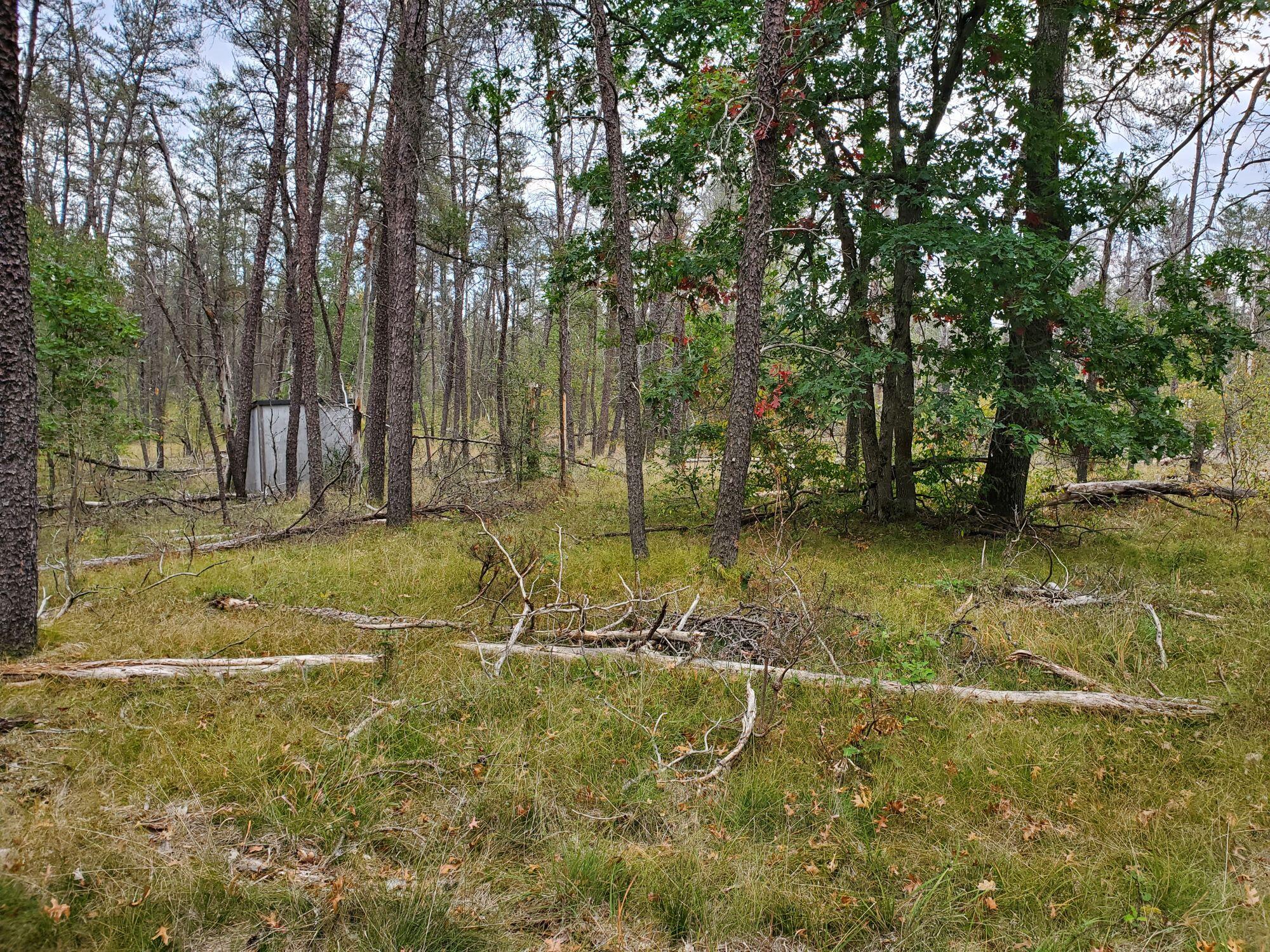 277 West 9 Mile Road Irons, MI 49644 - Photo 2 of 6 lidgard