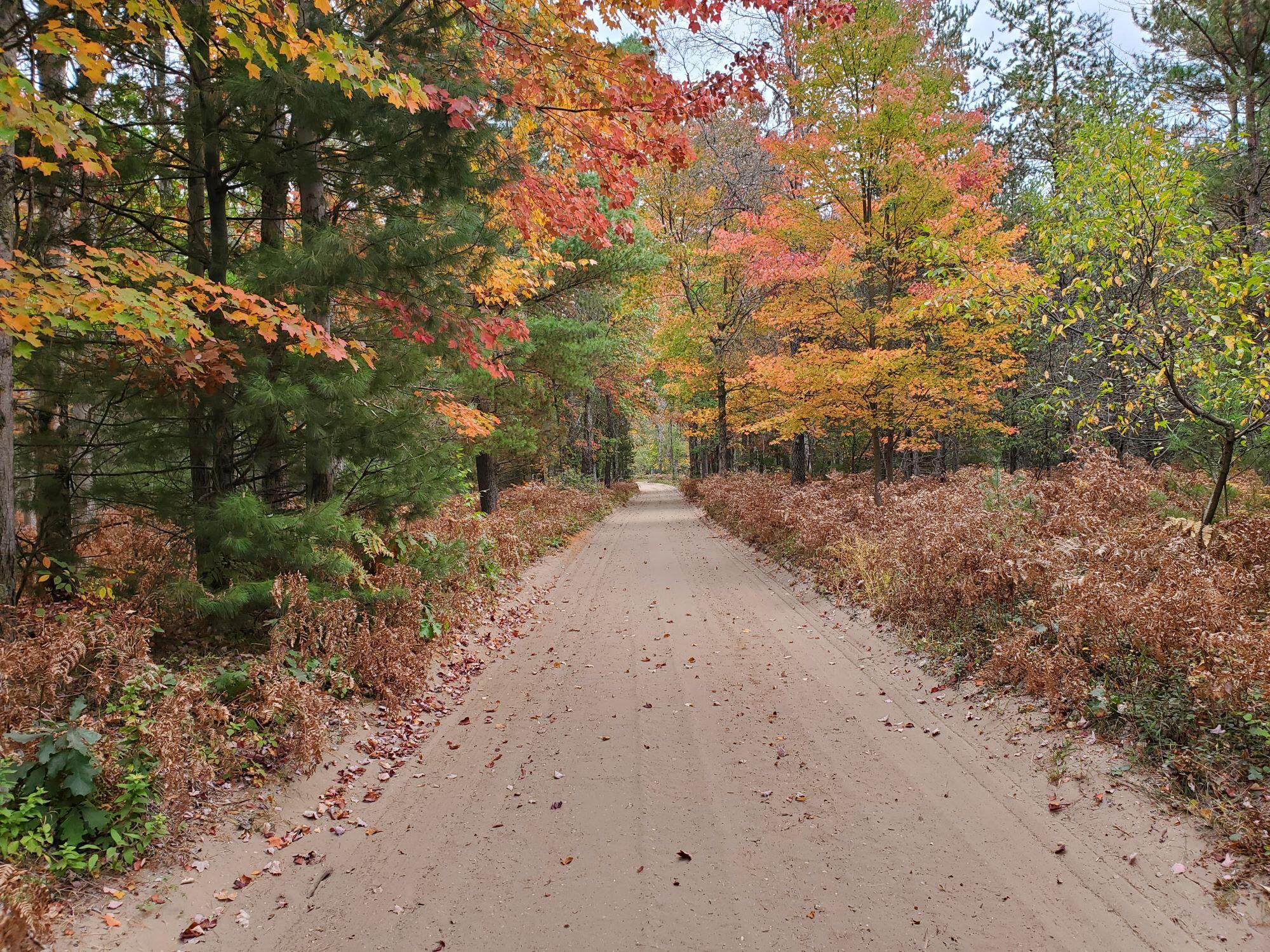 277 West 9 Mile Road Irons, MI 49644 - Photo 5 of 6 lidgard4