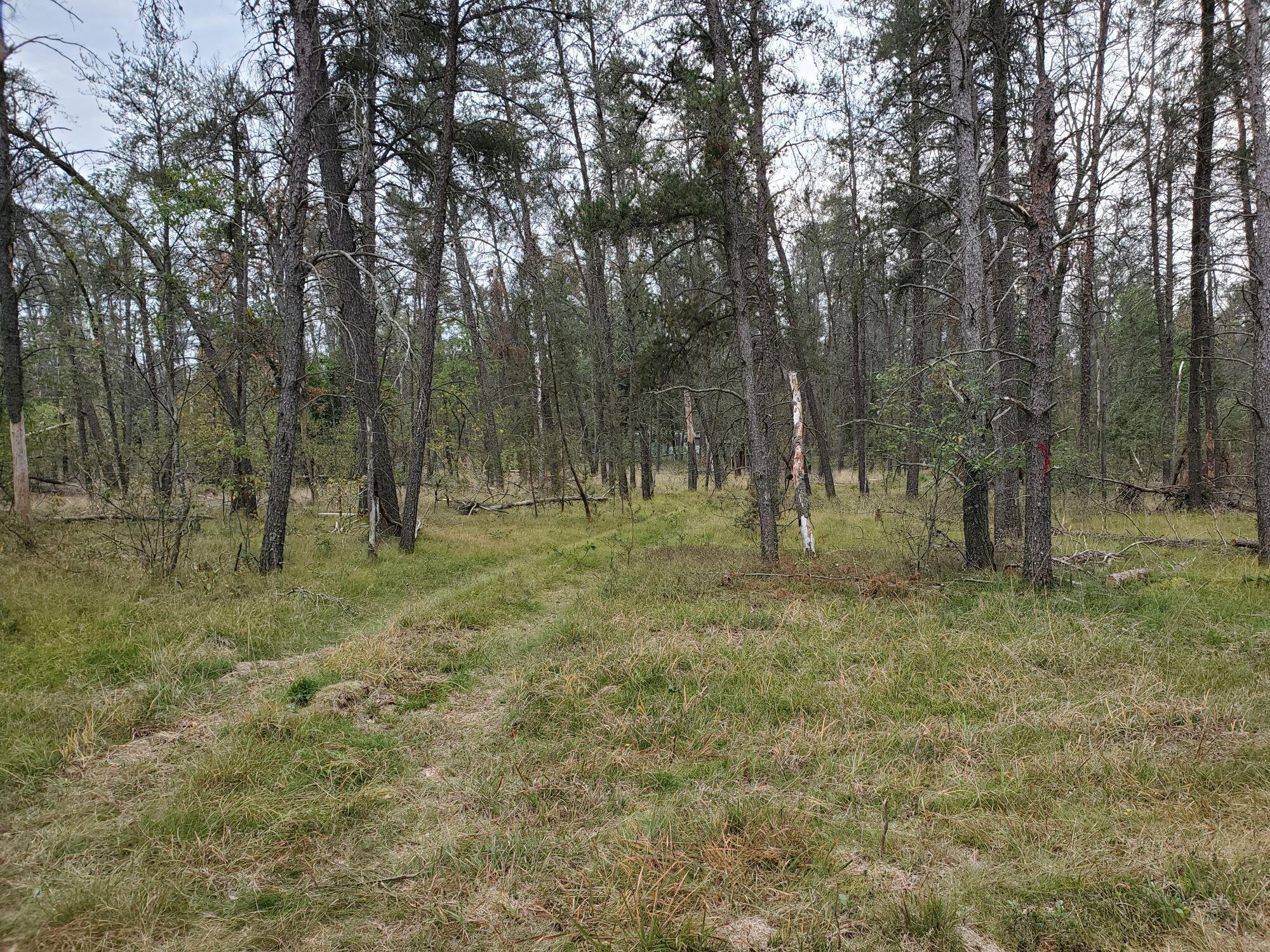 277 West 9 Mile Road Irons, MI 49644 - Photo 6 of 6 lidgard6