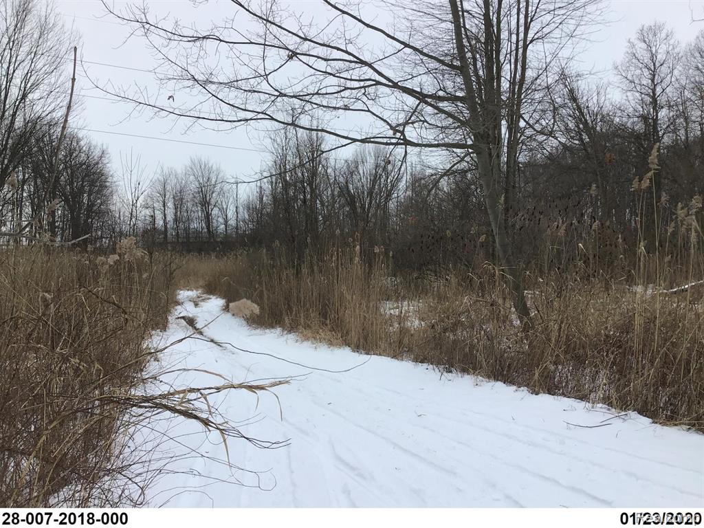 V/l Hopps Road Port Huron, MI 48060 - Photo 3 of 11