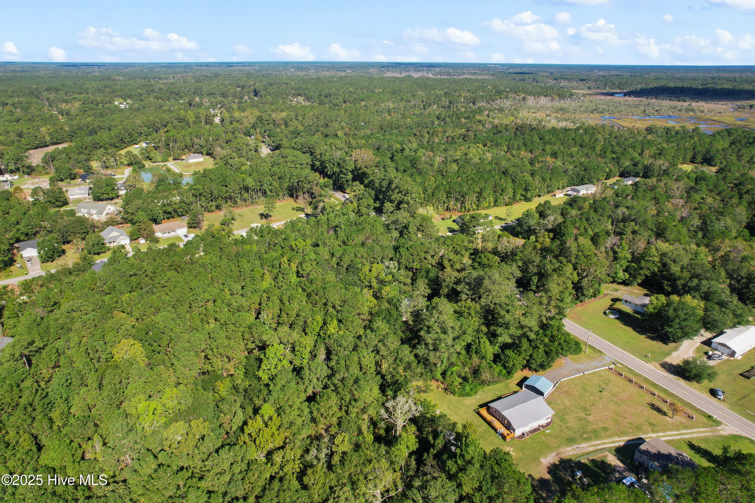1433 Stone Chimney Road Southwest Supply, NC 28462 - Photo 10 of 24 1433 Stone Chimney Rd