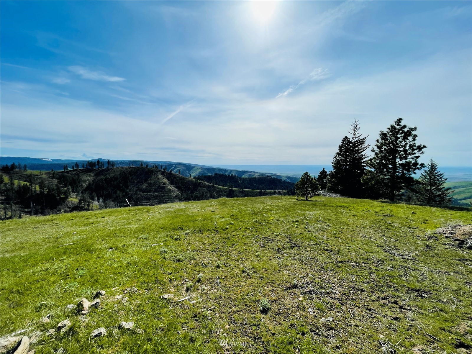 2492 Blacksnake Ridge Road Waitsburg, WA 99361 - Photo 30 of 40 Gallery Image 30