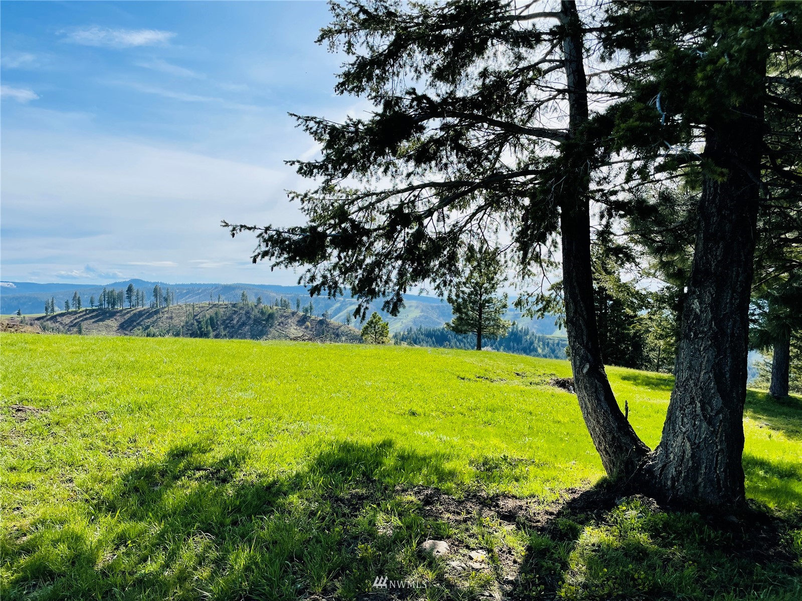 2492 Blacksnake Ridge Road Waitsburg, WA 99361 - Photo 31 of 40 Gallery Image 31