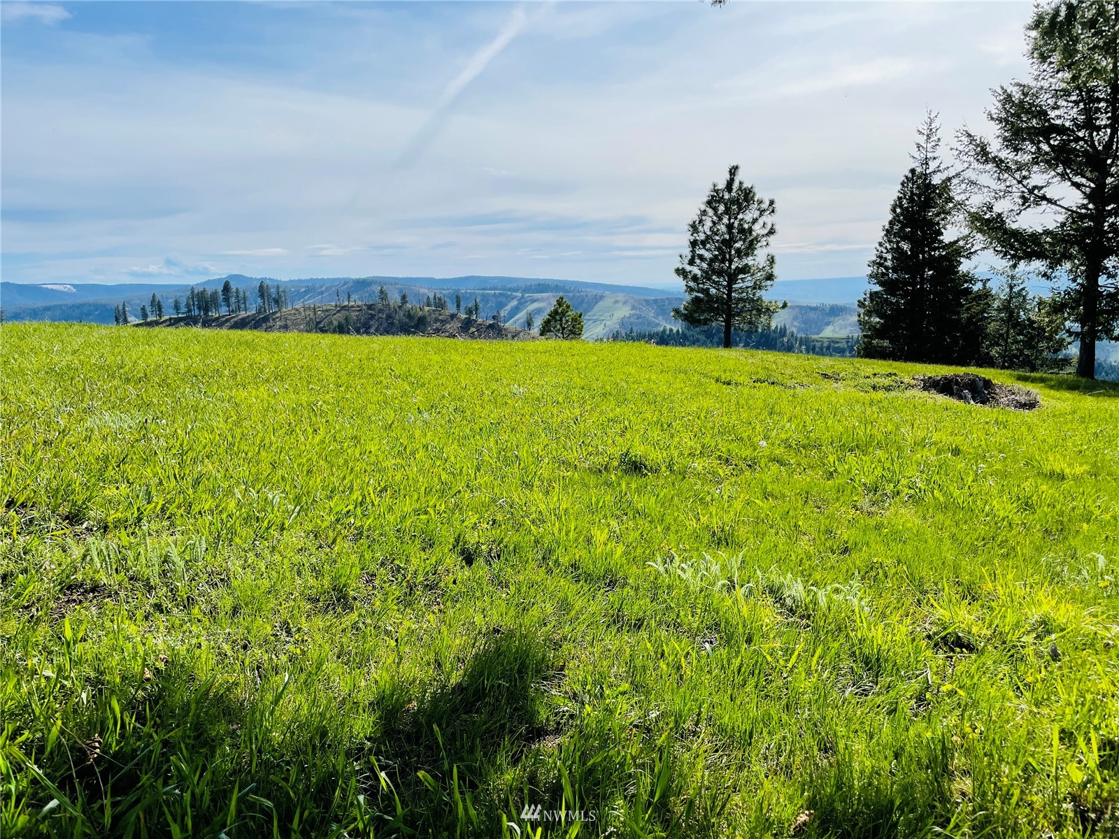 2492 Blacksnake Ridge Road Waitsburg, WA 99361 - Photo 32 of 40 Gallery Image 32