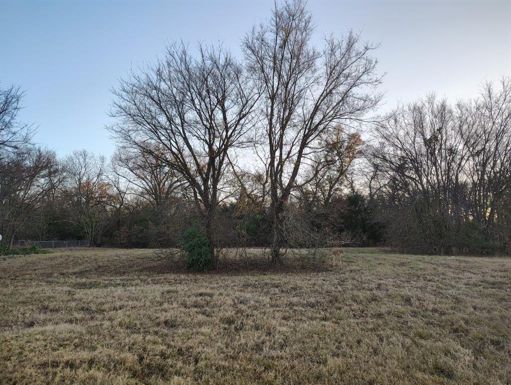 16 D Whitefoot Quitman, TX 75783 - Photo 7 of 7 a view of backyard with green space