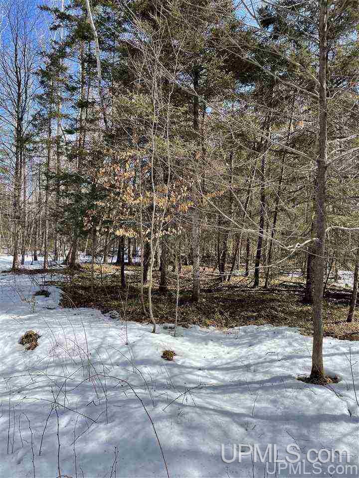 Tbd Tbd Co Road, Unit 1 Marquette, MI 49855 - Photo 29 of 50