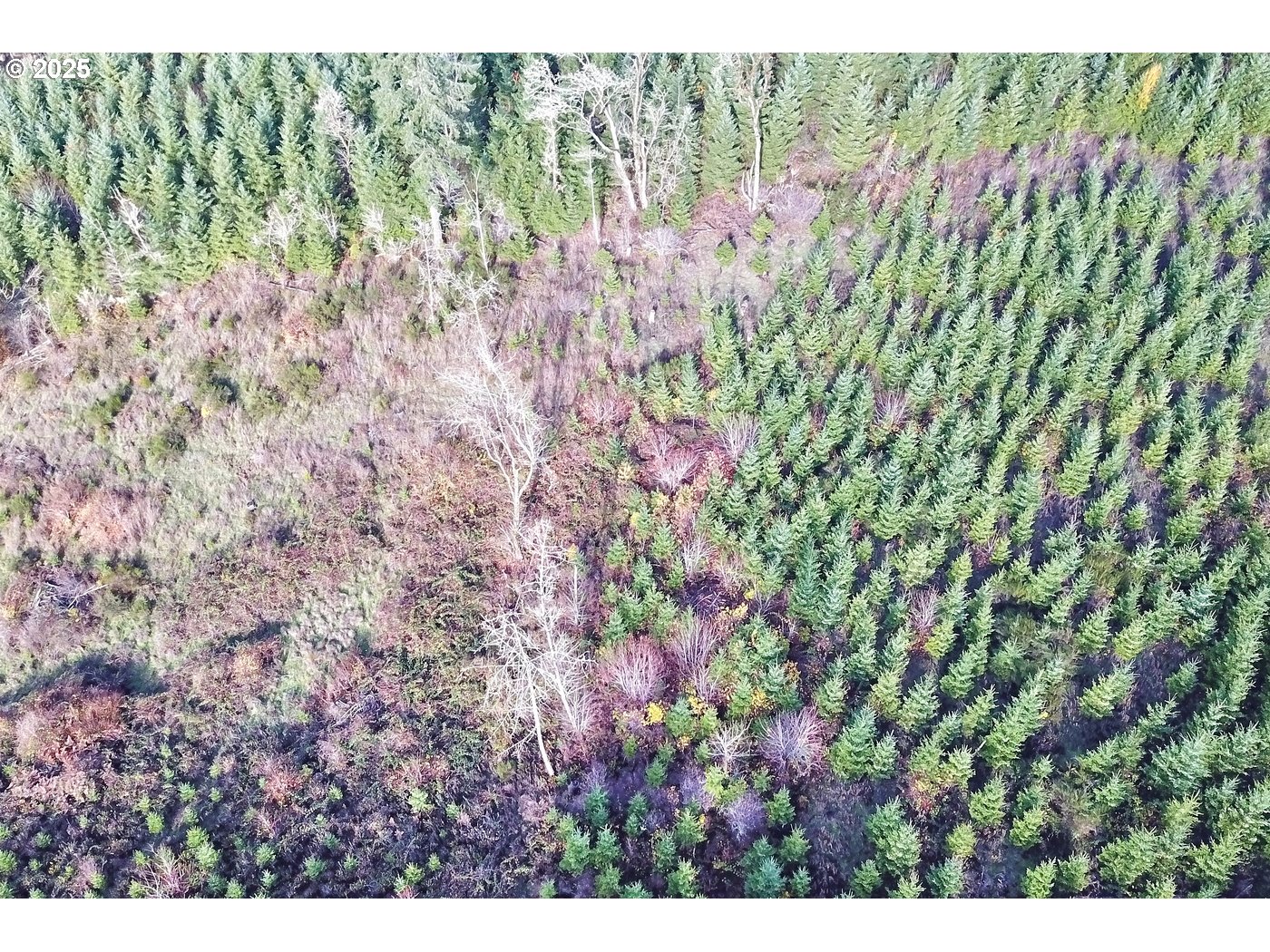 Eagle Point Road Sheridan, OR 97378 - Photo 20 of 21 Gallery Image 20