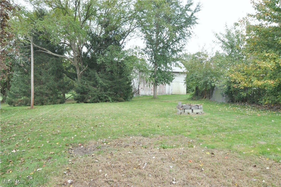 12341 Portage Street Rittman, OH 44270 - Photo 22 of 23 View of yard